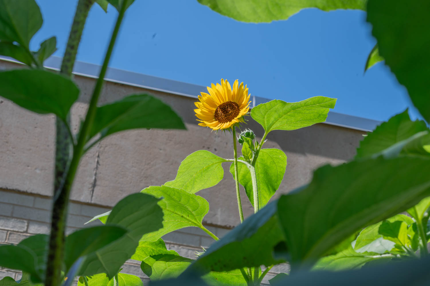 A look at the TCU campus through one camper's eyes and a change of perspective.